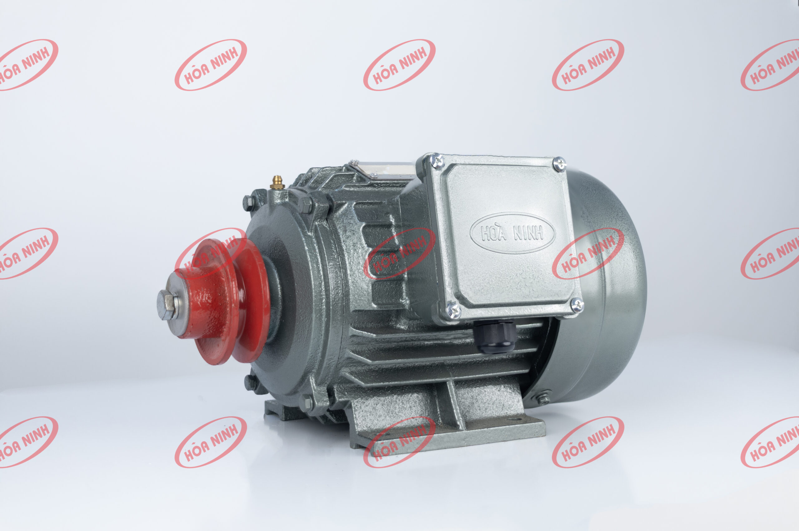 Động cơ 1.1 kw vỏ gang Hòa Ninh 1 pha