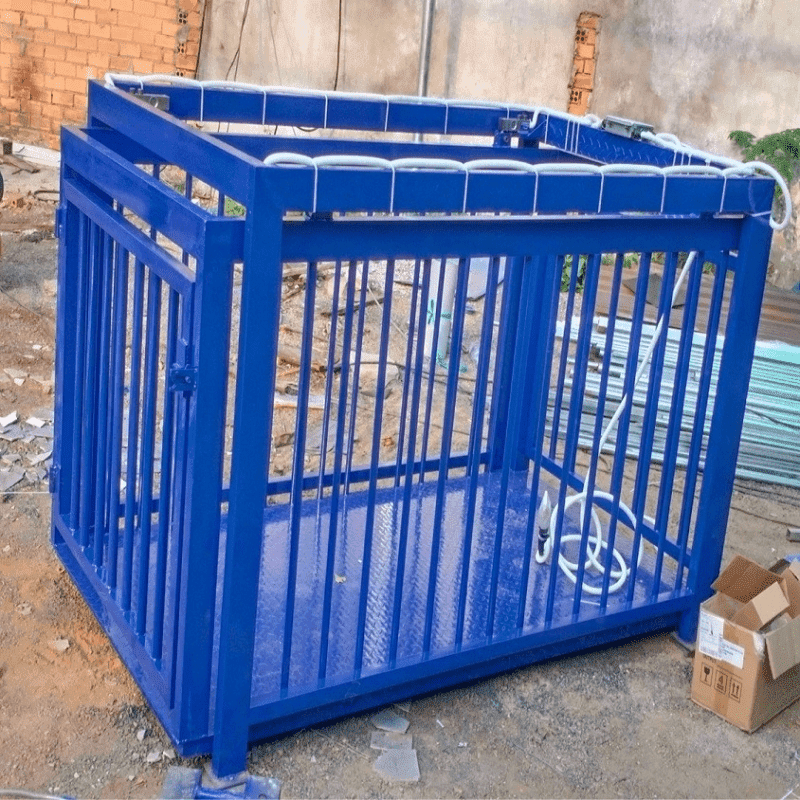 Hòa Ninh - Công ty cung cấp lồng cân heo điện tử chất lượng