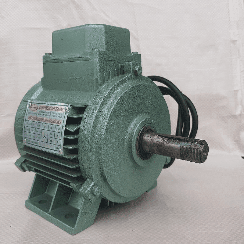 Ứng dụng động cơ công nghiệp trong chăn nuôi đang trở thành xu hướng tất yếu