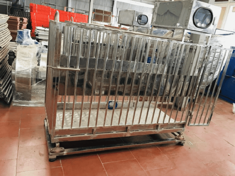 Hòa Ninh – Giải pháp cân điện tử xuất lợn chính xác, bền bỉ