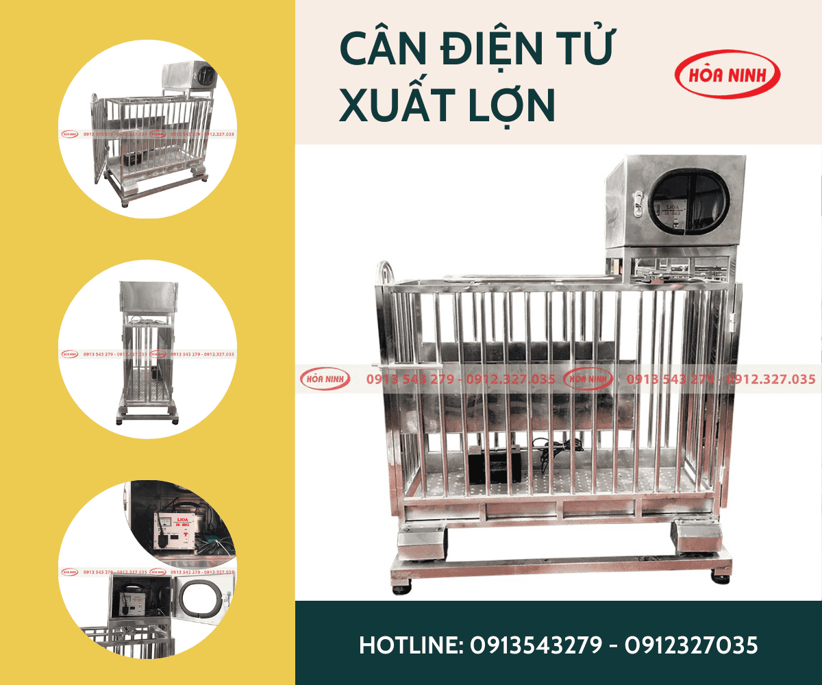 Lồng cân heo điện tử tại Hòa Ninh 300kg, 500kg, 1000kg
