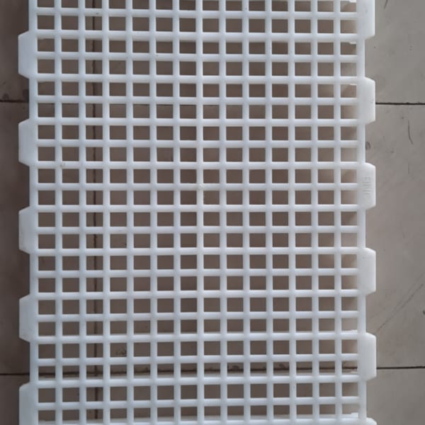 Sàn vịt 1