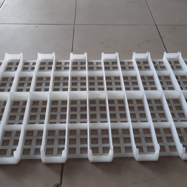 Sàn vịt 4