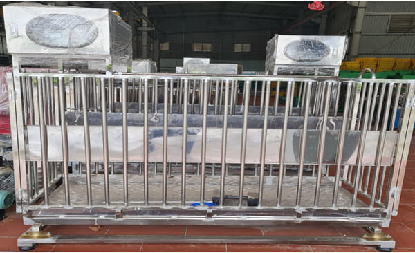 Cân 1000 kg ( KT 2500×1320) 1