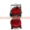z5851361870332_68d997cee7b45981dc4945fc2505caf8