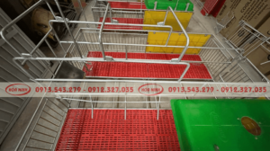chuồng đẻ sắt đặc mạ kẽm nhúng nóng 1820 3