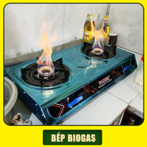 lò đốt khí biogas 3