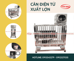 lồng cân heo điện tử 2